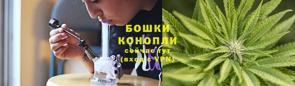 шишки Алексеевка