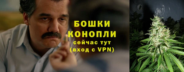 шишки Алексеевка