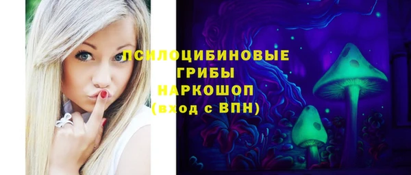 шишки Алексеевка